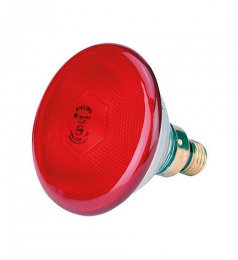 Ampoule infrarouge éco