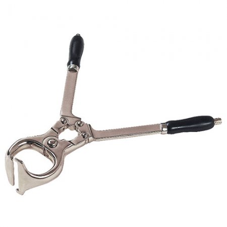 pince-castrer-bovins