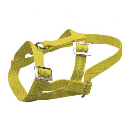 Licol nylon pour chèvres et moutons - 1081/10 - Licol nylon pour chèvres et moutons prix pièce par 10