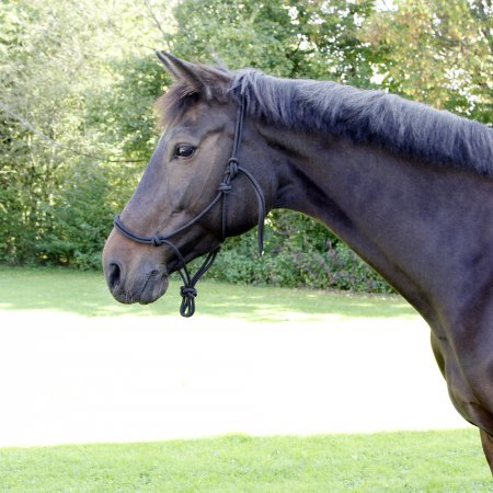 Licol corde noué - 8252 - Licol corde noué noir