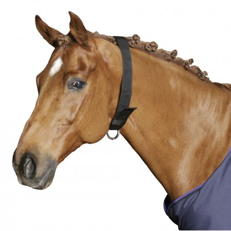 Collier dattache - 8253 - Collier dattache noir 5 cm