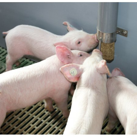 distributeur de granulé