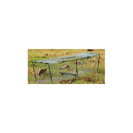 boite 2 entrée porte usa