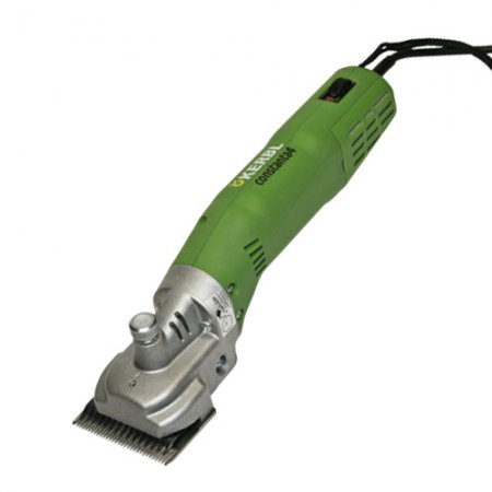 Tondeuse chevaux Constanta 4