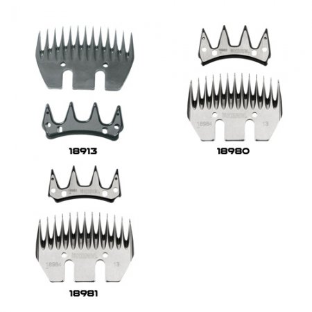 Couteaux pour Constanta 4 moutons