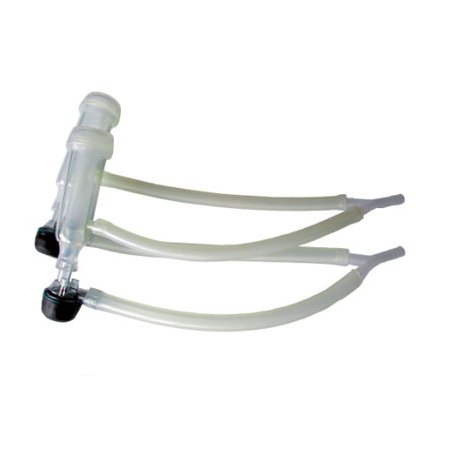 Faisceau-brebis-Manchego