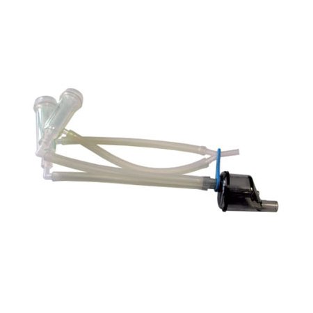 Faisceau-brebis-Sulcis