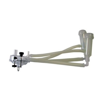 Faisceau-brebis-Nuraghe