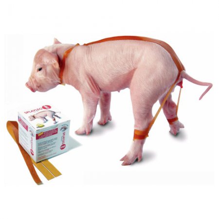 Lot-de-20-bandages-Splaylegstop