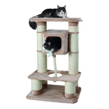 Arbre-à-chat-Gentle-Giant