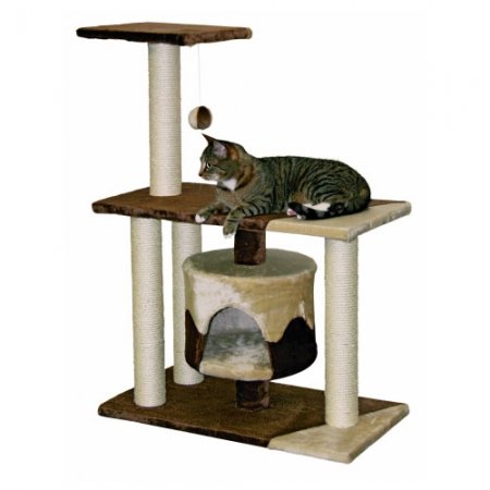 Arbre-à-chat-Jade-Pro