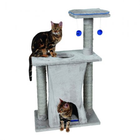 Arbre-à-chat-Silverstar