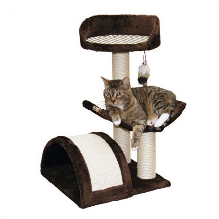 Arbre-à-chat-Safari