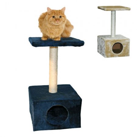 Arbre-à-chat-Amethyst