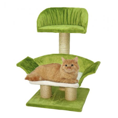 Arbre-à-chat-Lounge