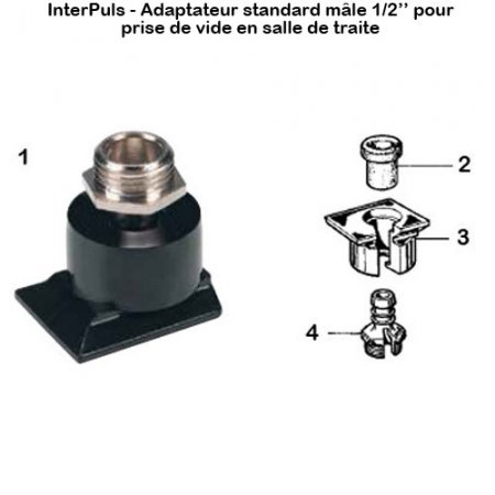 Interpuls-adaptateur-standard-male-sdt