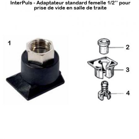 Interpuls-adaptateur-standard-femelle-sdt