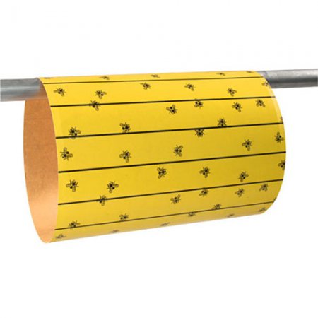 feuilles-attrape-mouches