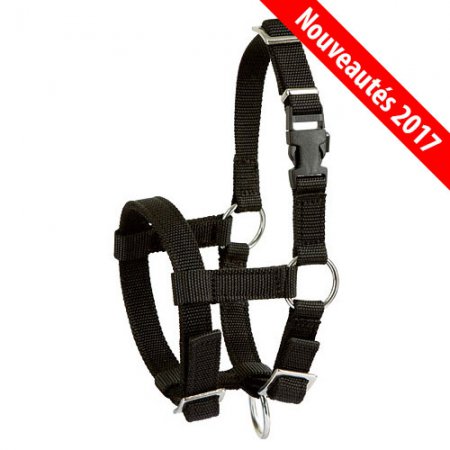 licol-nylon-alpaga-NEW2017