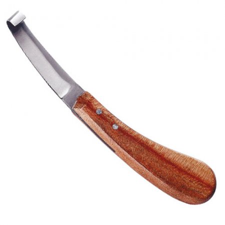 renette-large-droite