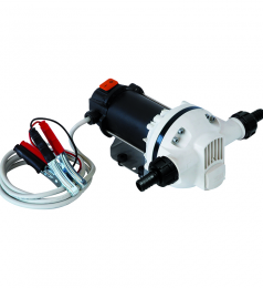 Pompe AdBlue 12V Piusi