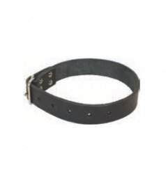 Collier cuir pour cloches Ec pour chèvres/moutons avec boucle fer